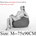 Bean Bag Sofa Cover Lounger Chair Sofa